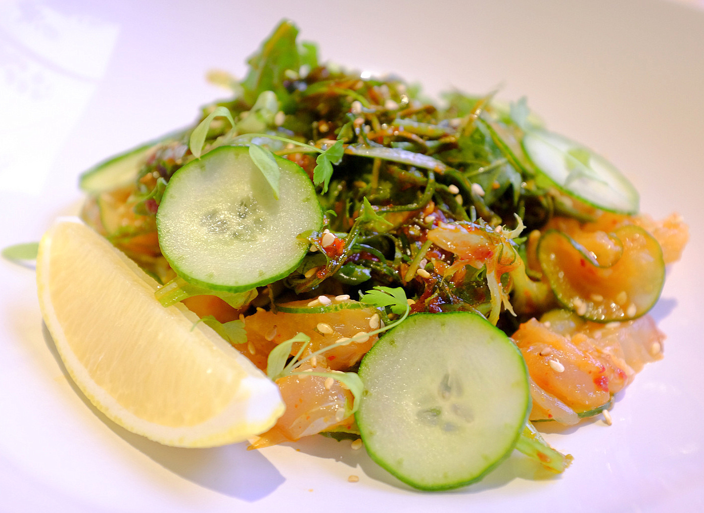 13. yellowfin tuna sashimi with horseradish emulsion, cucumbers & white soy dressing