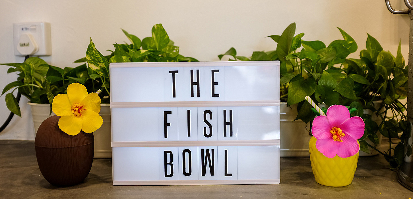 14. The Fish Bowl