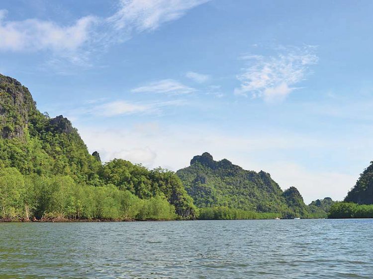 Langkawi’s Magnificent Mangroves