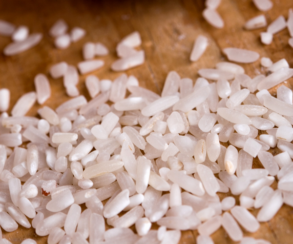 rice broken grains