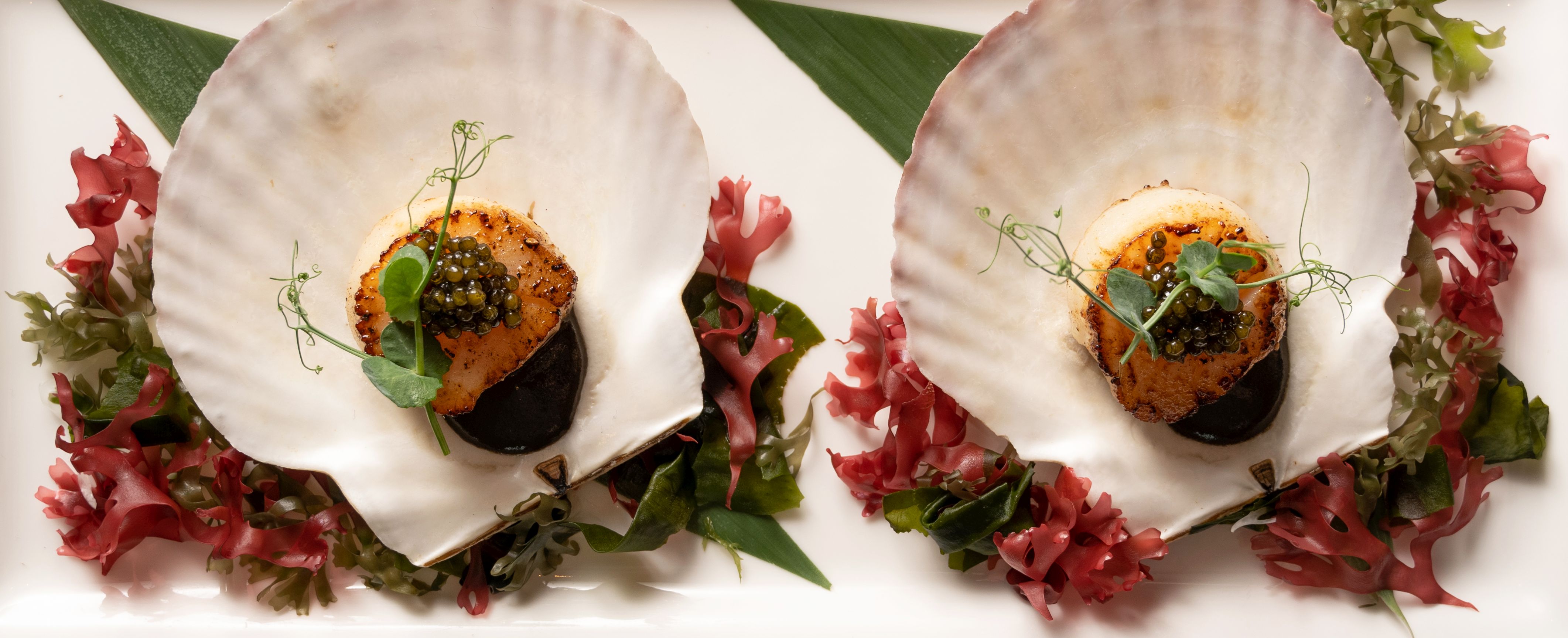 Black Gold Osusume: A Caviar Collaboration at Nobu