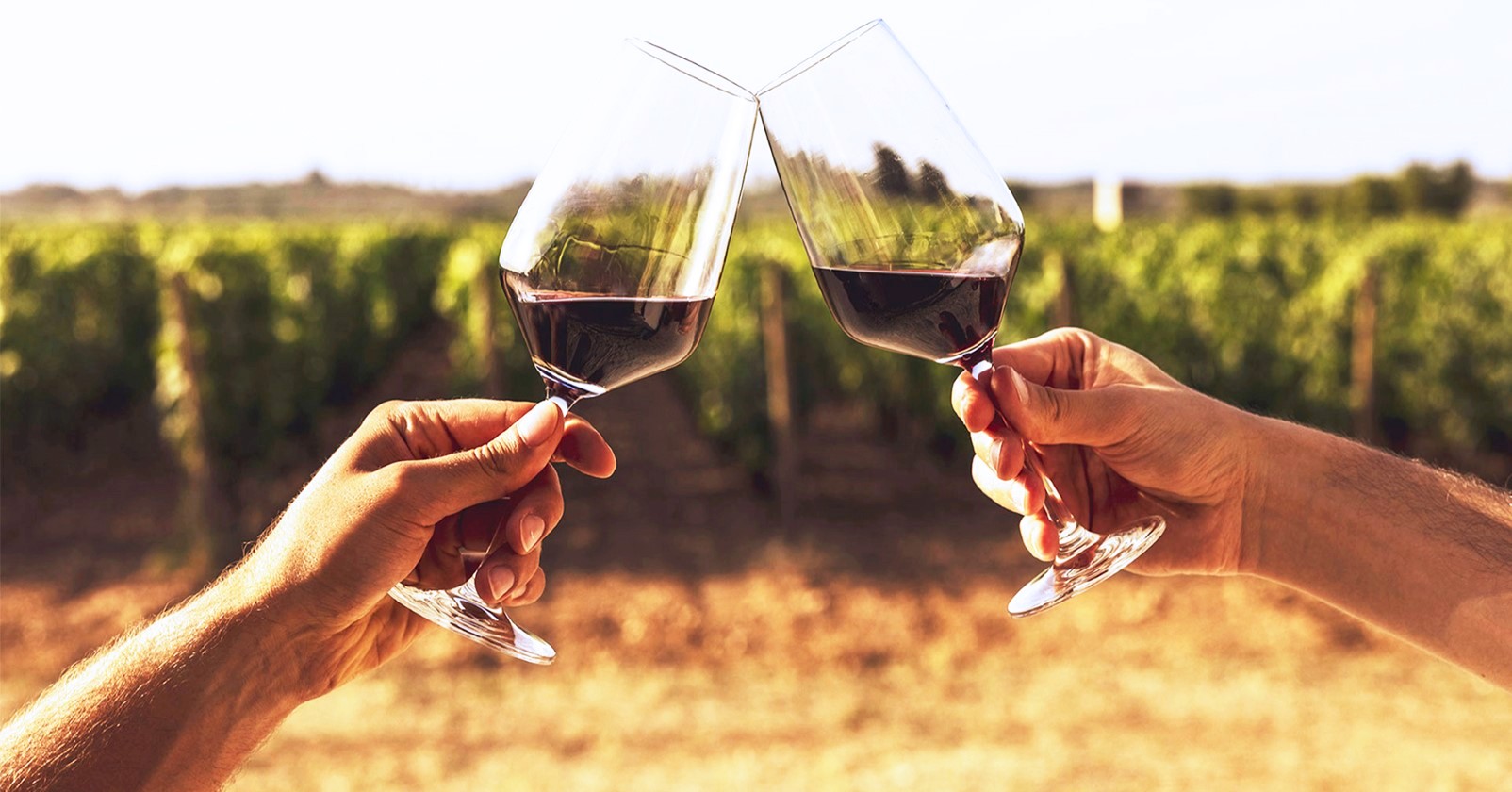 Zesty Zinfandel: A Most Versatile Grape